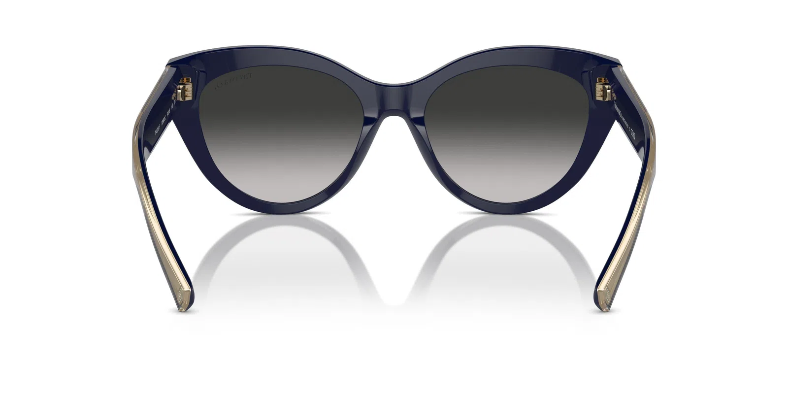 Tiffany 4220F Sunglasses - view 12